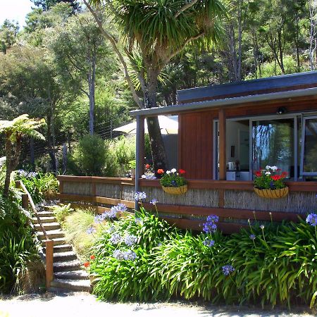 Cabbage Tree Chalet Parapara Номер фото